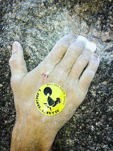 LAGALLATA Guest House - Your holiday type in Sardinia