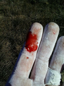 LAGALLATA Guest House - Your holiday type in Sardinia