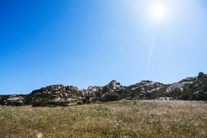 LAGALLATA Guest House - Your holiday type in Sardinia