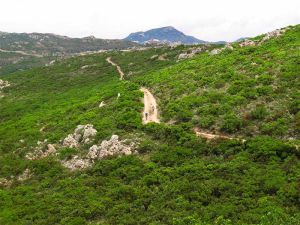 LAGALLATA Guest House - Your holiday type in Sardinia