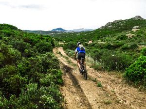 LAGALLATA Guest House - Your holiday type in Sardinia