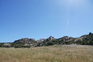 LAGALLATA Guest House - Your holiday type in Sardinia