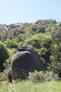 LAGALLATA Guest House - Your holiday type in Sardinia